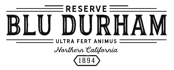 Blu Durham Bike Basket